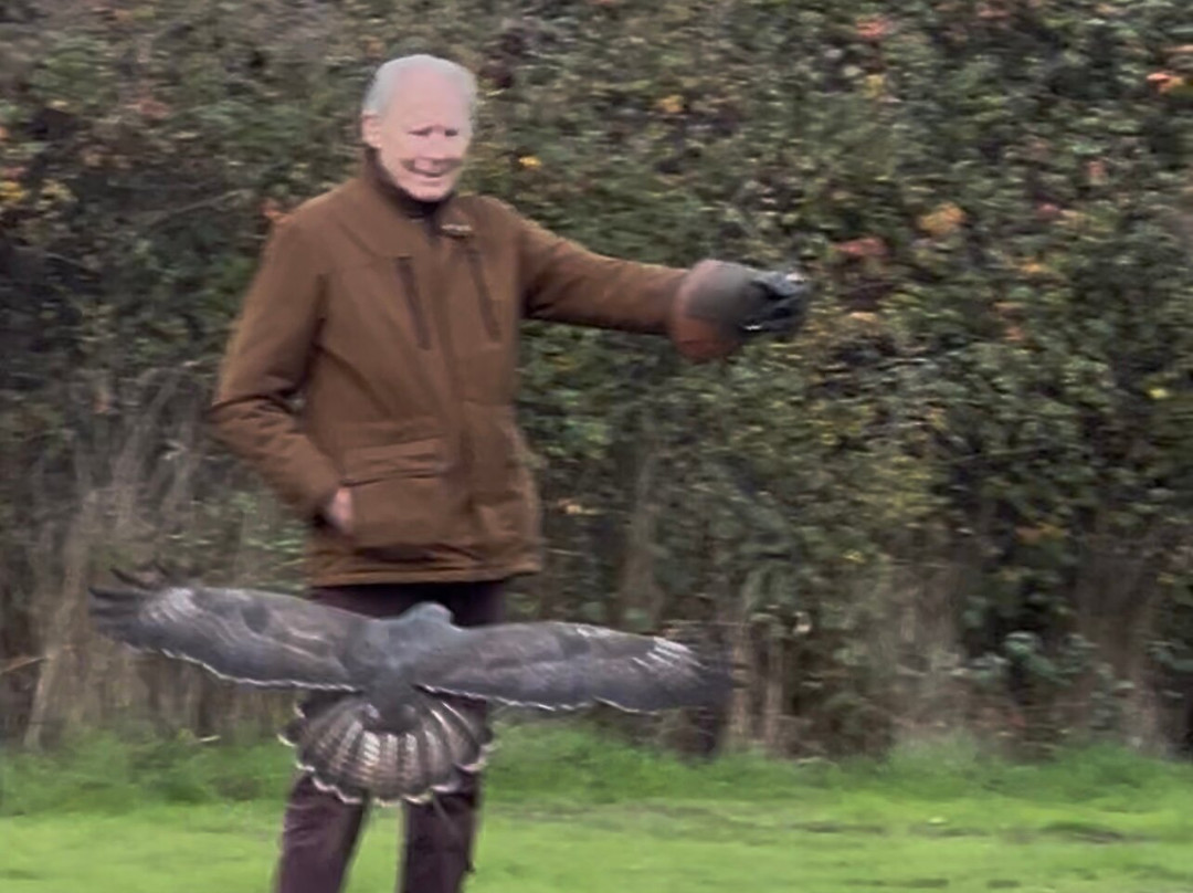 Feathers and Fur Falconry Centre-布拉克内尔必去景点