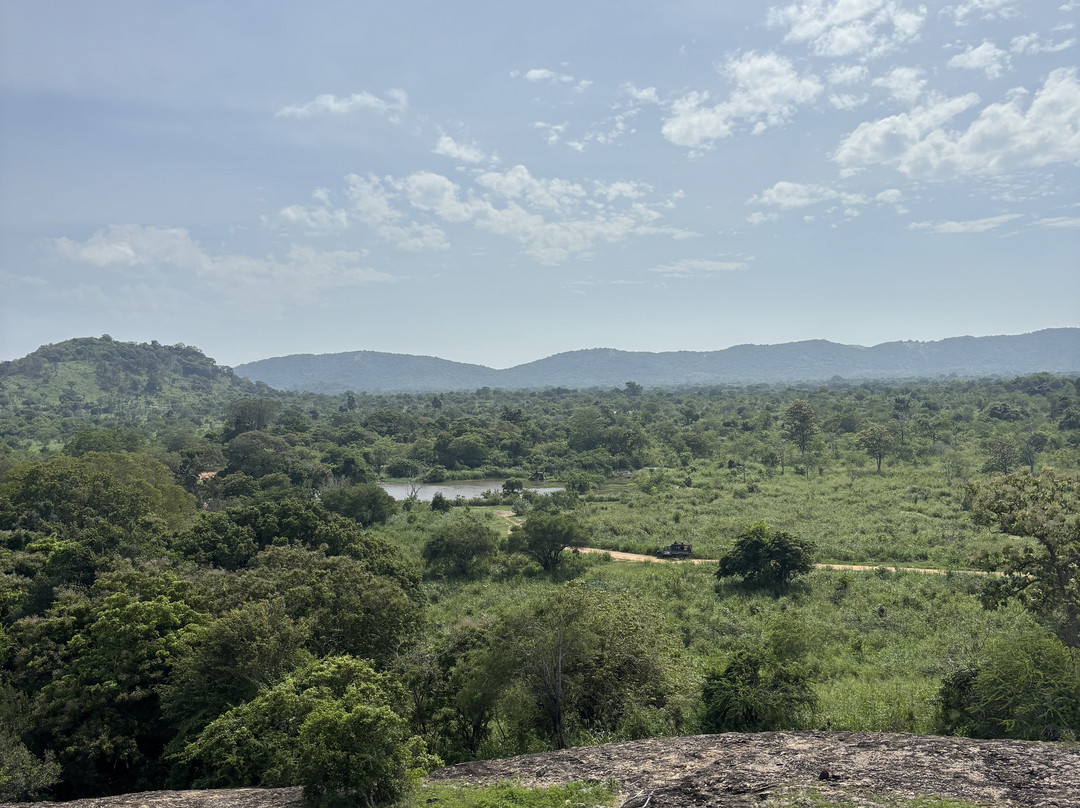 Accessible Safari Experiences-哈巴拉娜必去景点