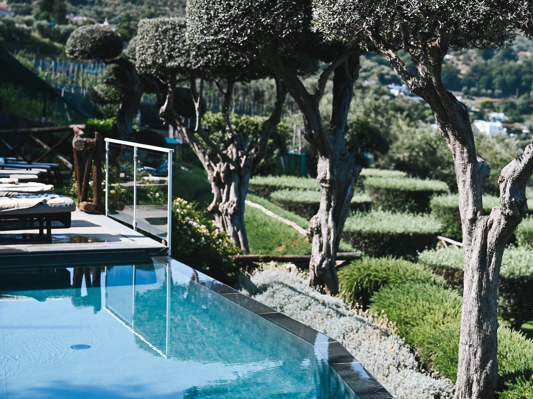 维拉菲瑞拉艺术酒店主图