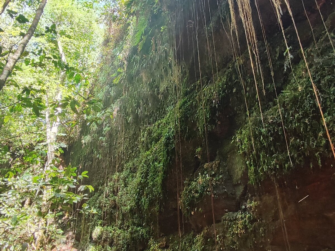 JalapaMax | Turismo-Palmas必去景点