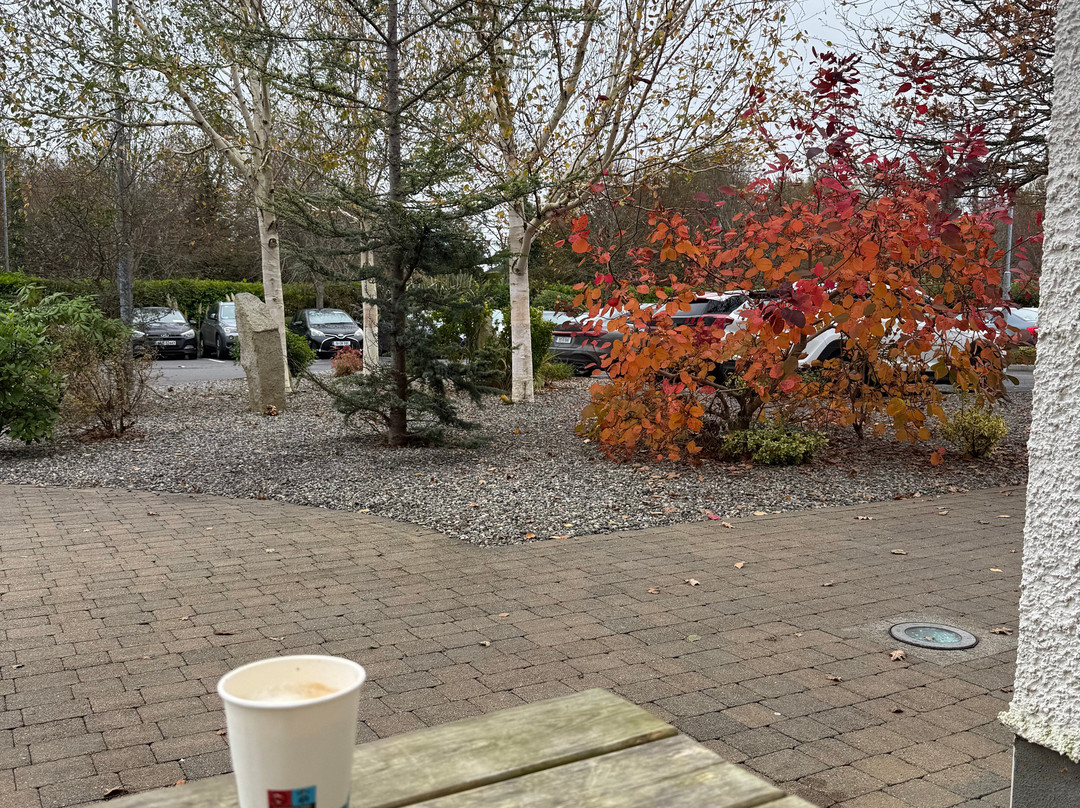 巴林纳酒店主图