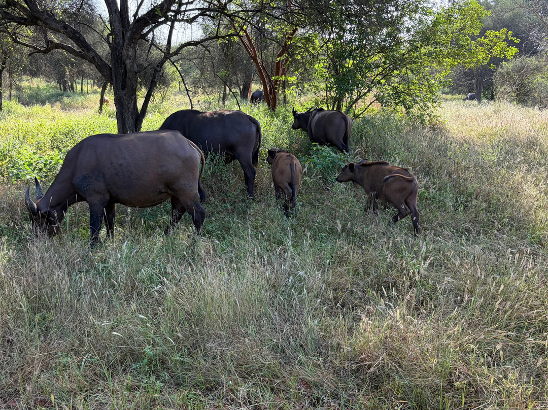 Malick Travel Senegal-Ponto必去景点