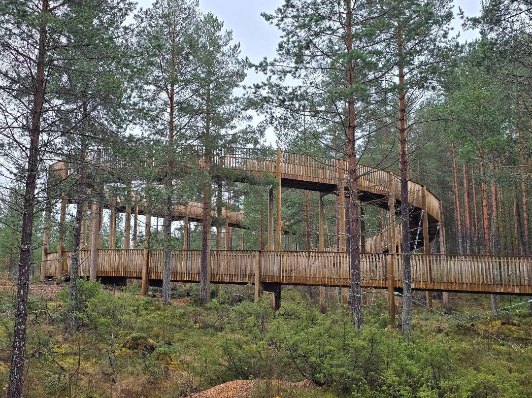 Tretoppstien-Fyresdal必去景点