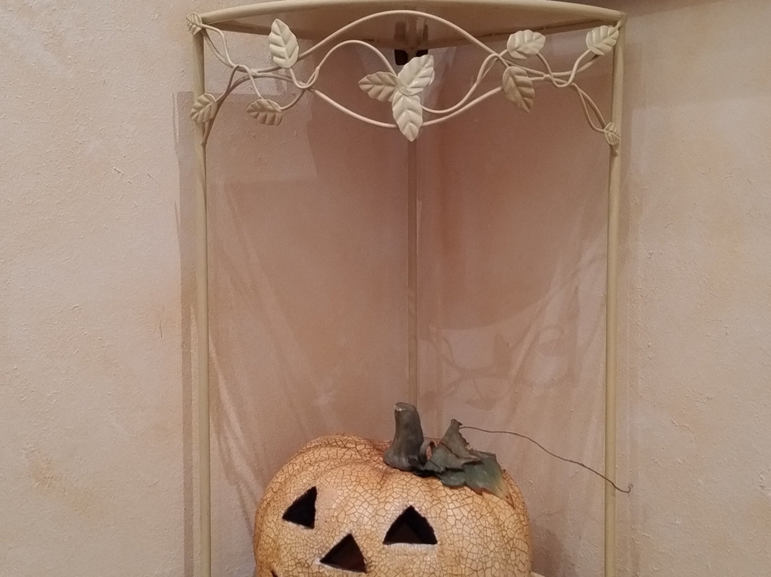 B&B MagicHouse主图