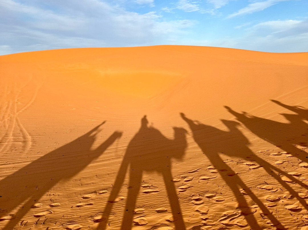 Mountain Desert Tours-马拉喀什必去景点