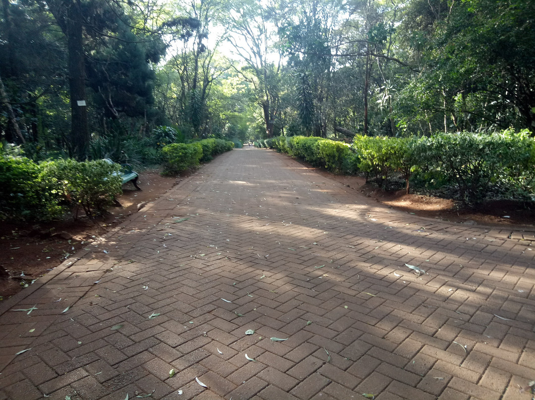 Nairobi Arboretum-内罗毕必去景点