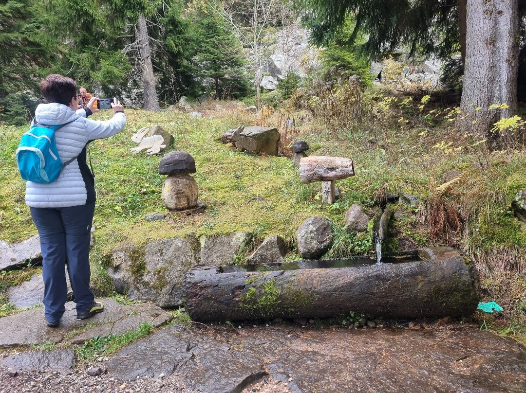 Cros del Cuc-Bedollo必去景点