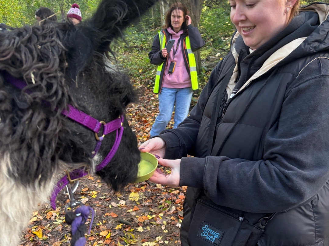 Holly Hagg Community Farm-谢菲尔德必去景点