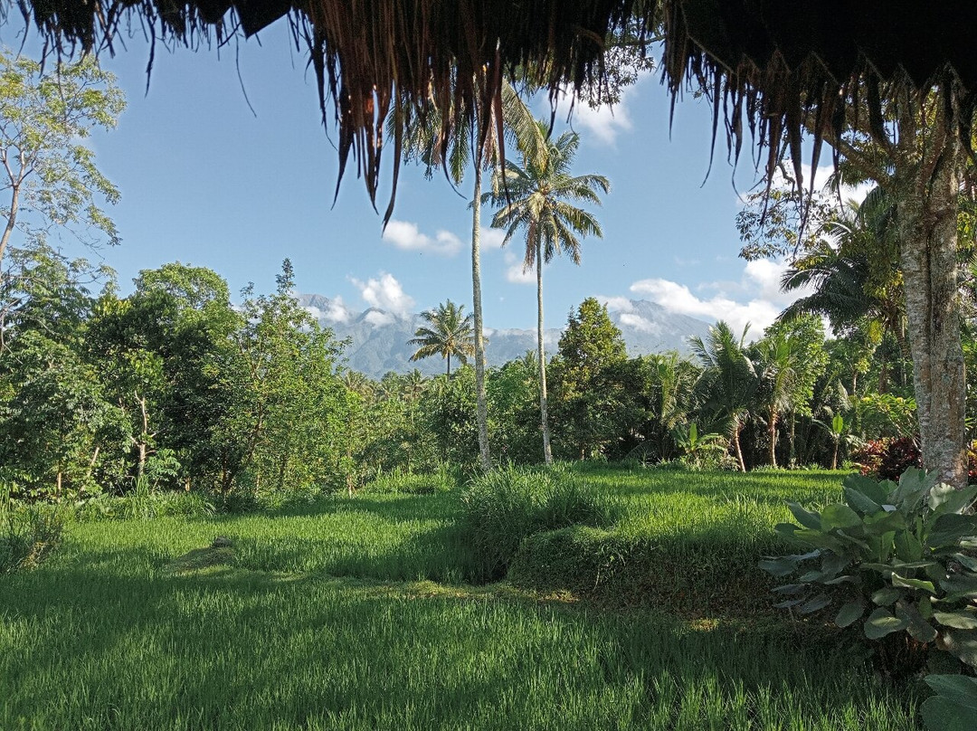 Hakiki Inn Bungalows主图