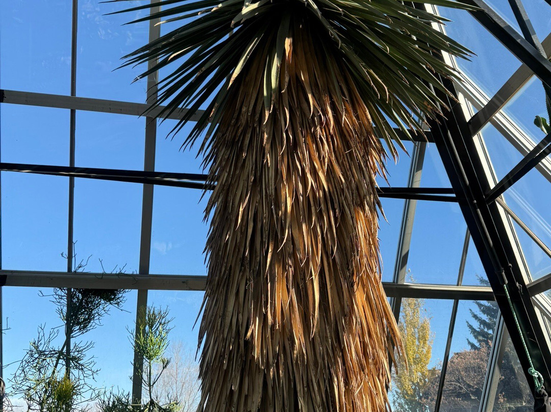 姆塔特温室-埃德蒙顿必去景点