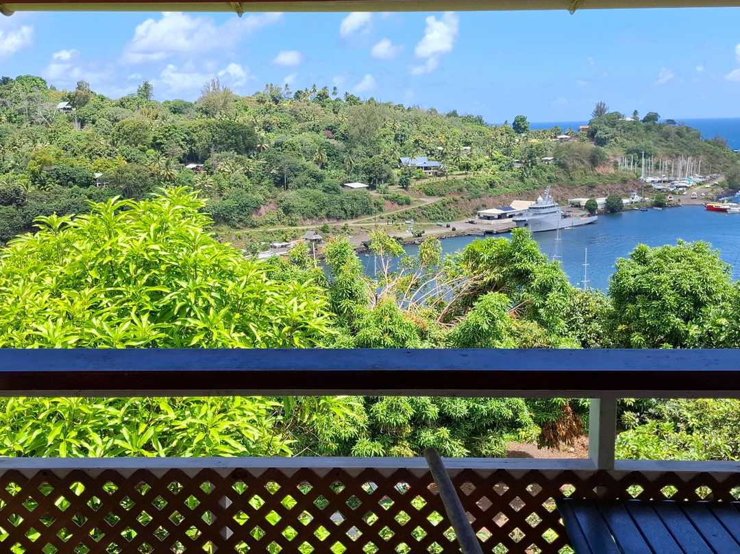 Pension Temetiu Village主图