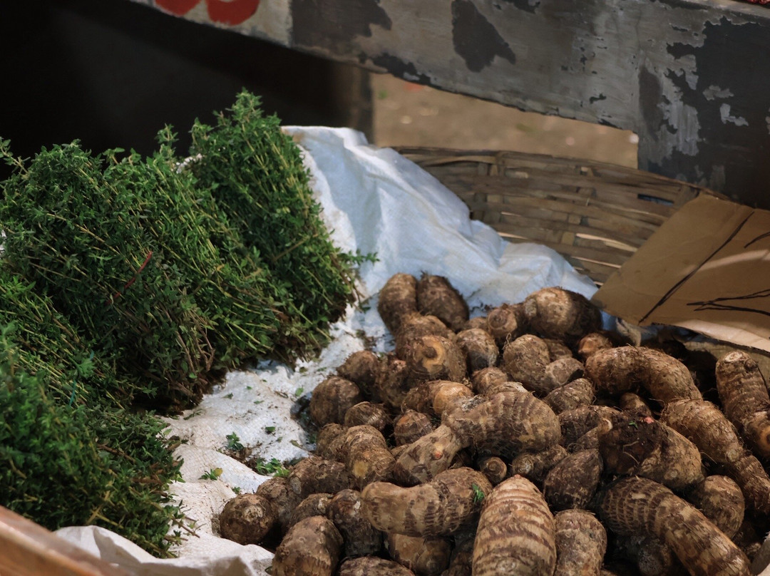 Marché de Flacq-Centre de Flacq必去景点