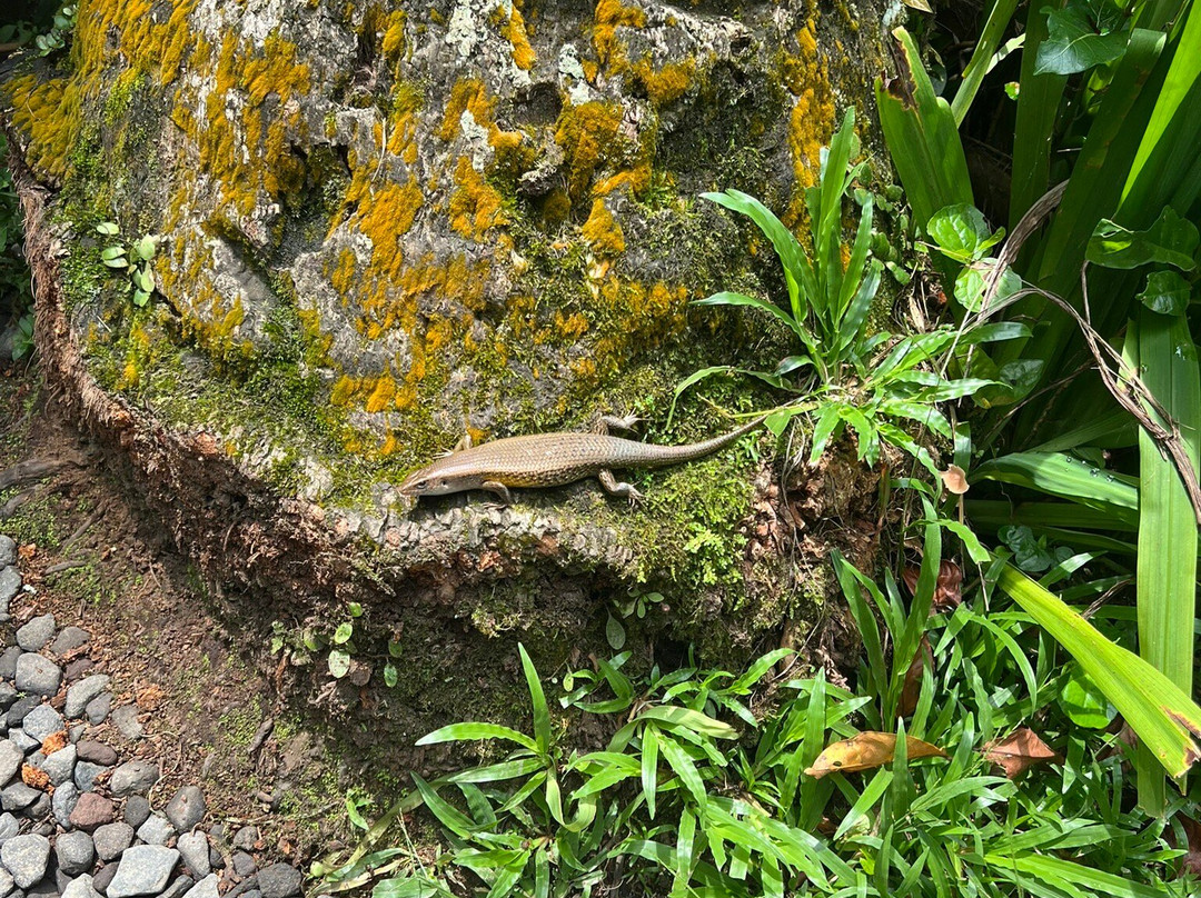 Satria Agrowisata-坦帕克西林必去景点