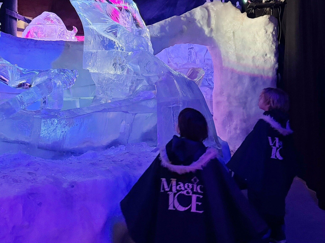 Magic Ice Lofoten-斯沃尔韦尔必去景点