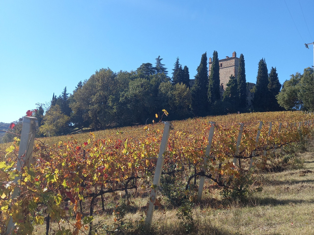 Azienda Agricola Fedrizzi Alessandro-Castello di Serravalle必去景点
