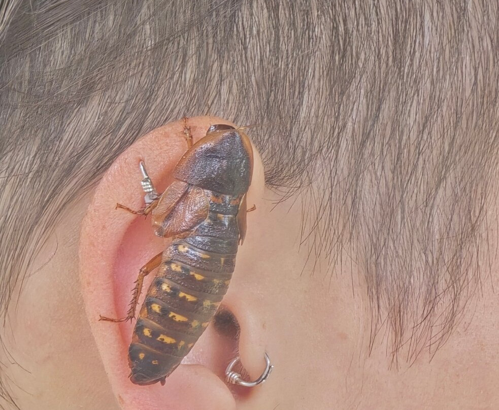 Wikiri Sapoparque-基多必去景点