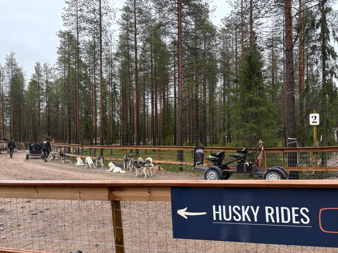 Arctic Circle Husky Park-罗瓦涅米必去景点