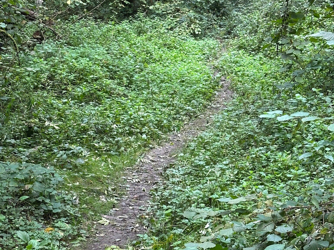 Magische Heimbach - Wanderung-Meisenheim必去景点