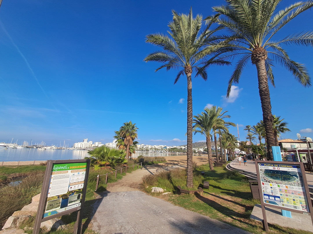 Platja de S'Arenal-圣安东尼德波特曼尼必去景点