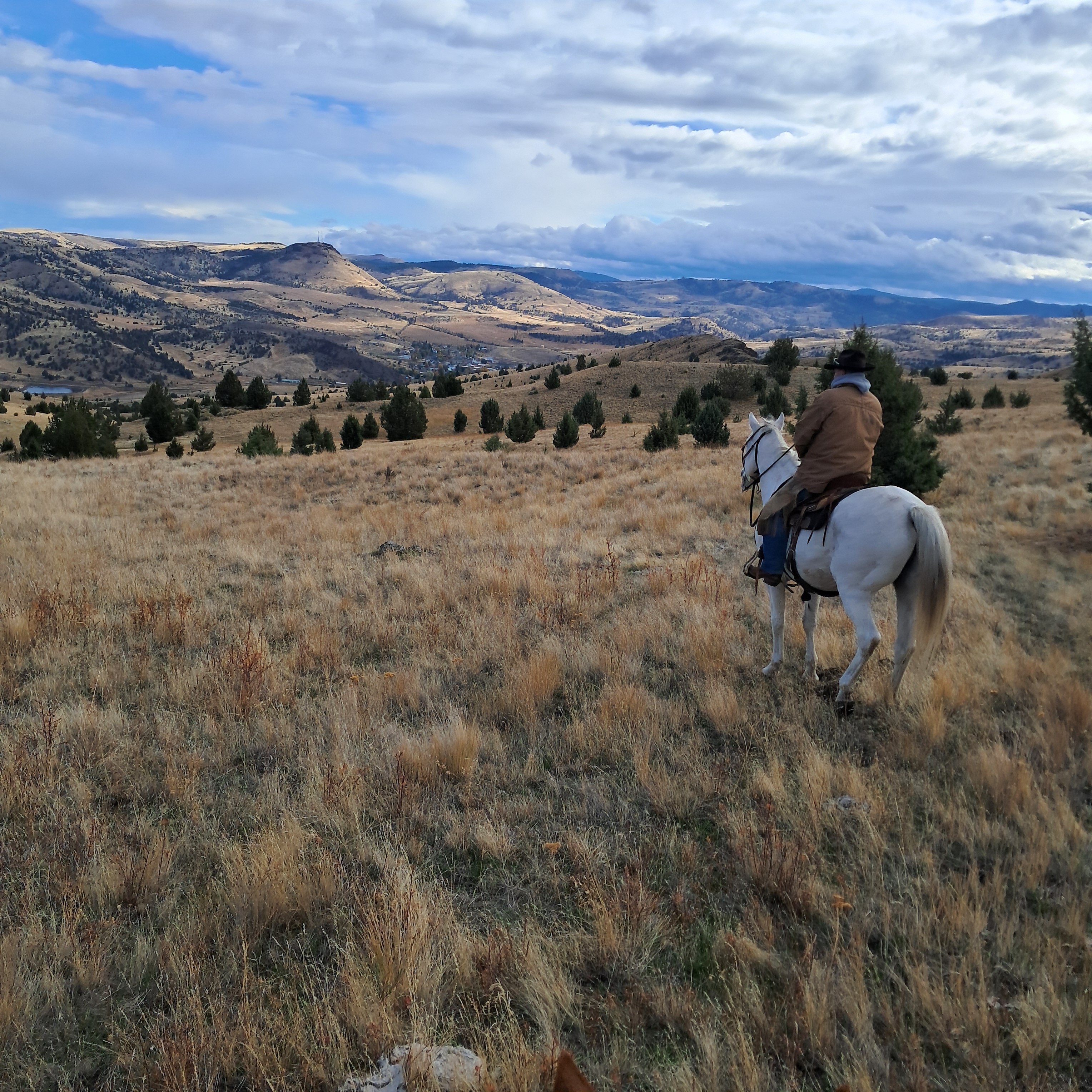 Wilson Ranches Retreat Bed & Breakfast-官方