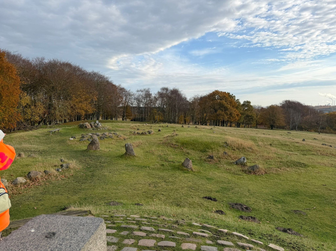Vikingemuseet Lindholm Høje-Noerresundby必去景点