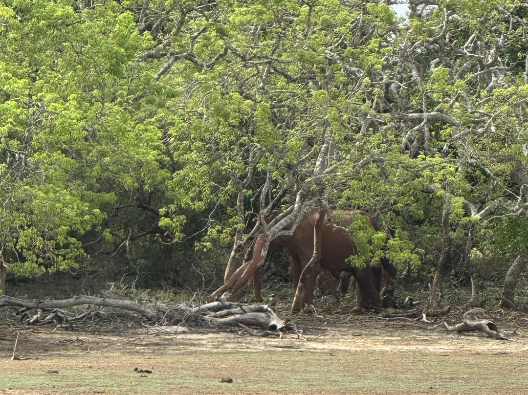 Freedom Safari Jeep Tours-蒂瑟默哈拉默必去景点