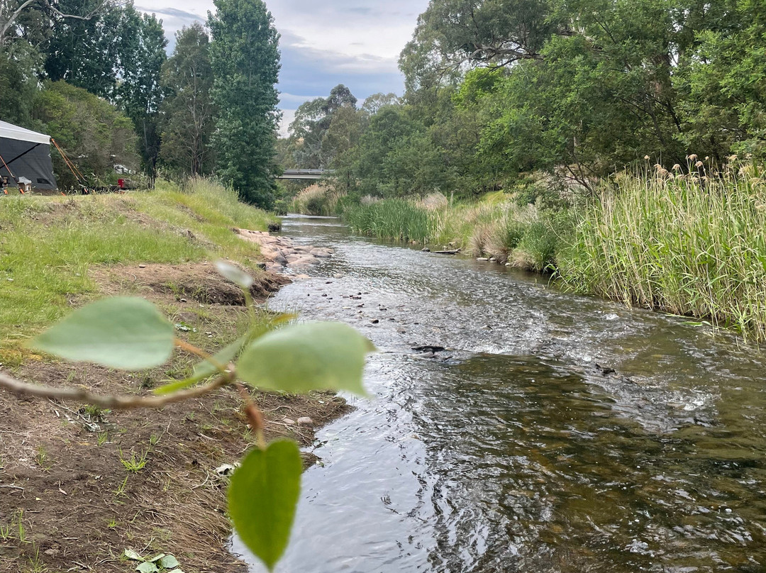 The Creek Playspace-Swifts Creek必去景点