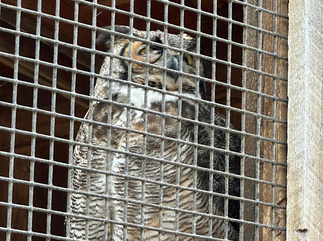 Shaver's Creek Environmental Center-Petersburg必去景点