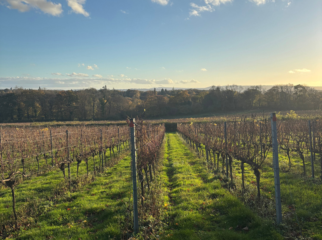 Greyfriars Vineyard-Puttenham必去景点