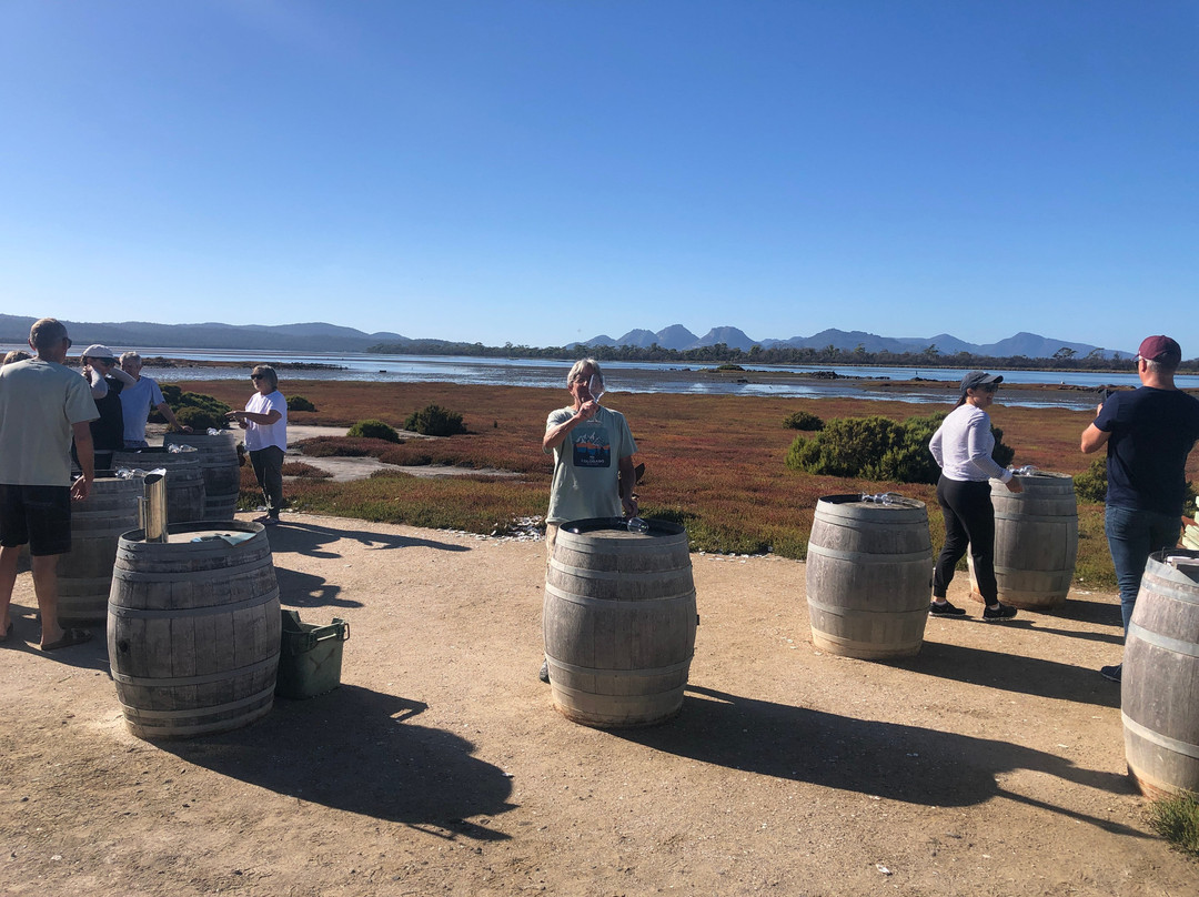 Oyster Bay Tours-科尔斯湾必去景点