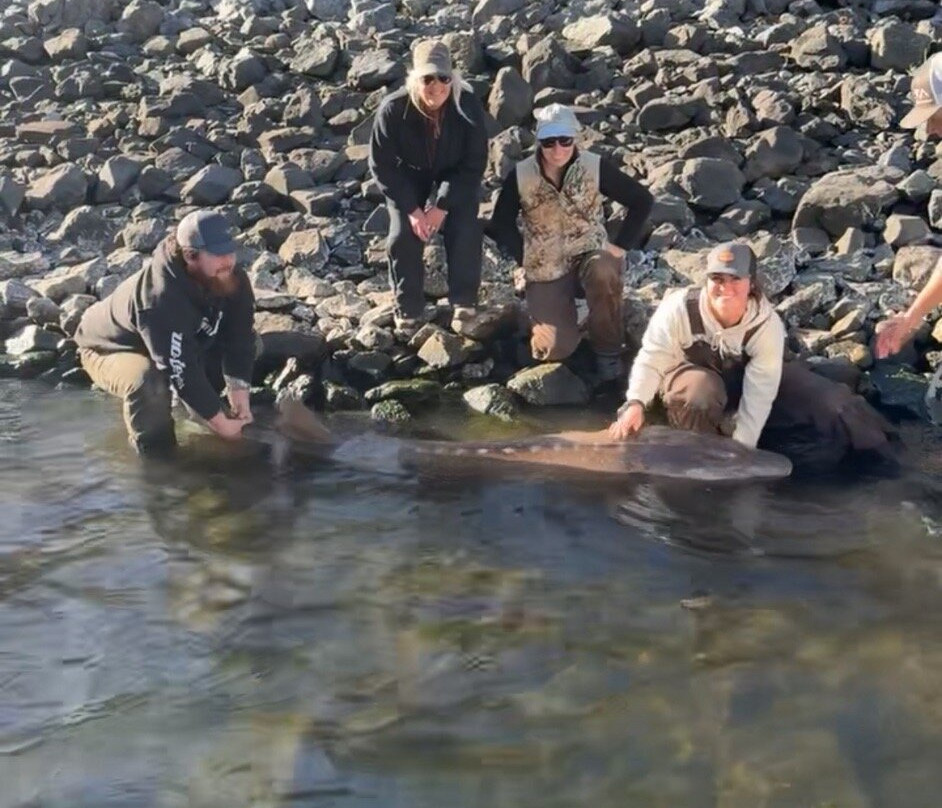 Killgore Adventures Hells Canyon Jet Boat Trips & Fishing Trips-White Bird必去景点