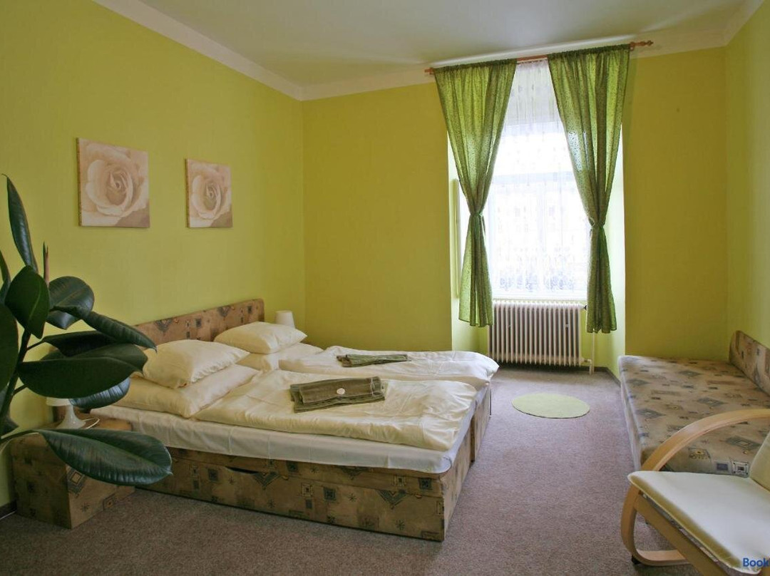 Nepomuk酒店住宿-Hotel Zlaty Jelen