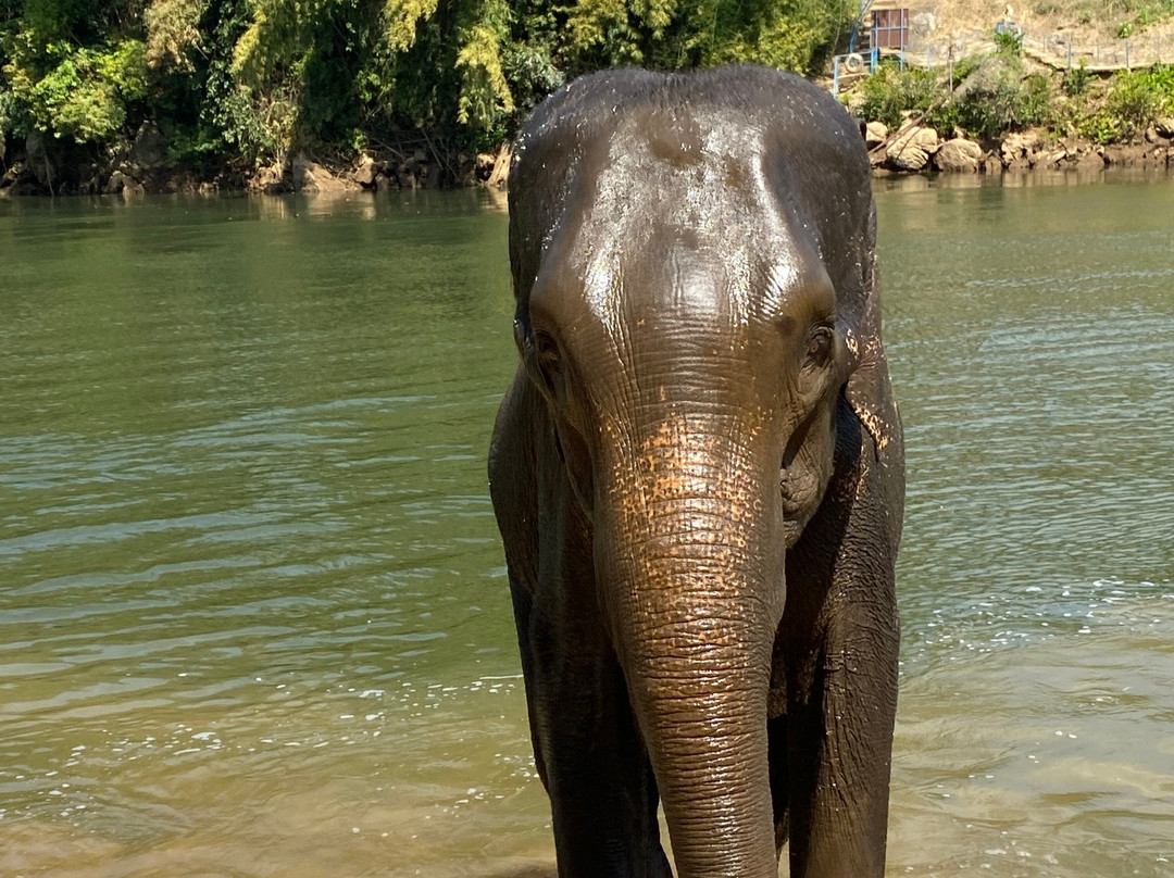 Safarine Tours-北碧必去景点