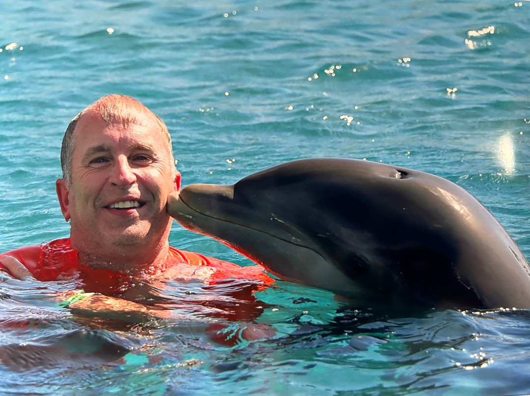 Dolphin Academy Curacao-威廉斯塔德必去景点