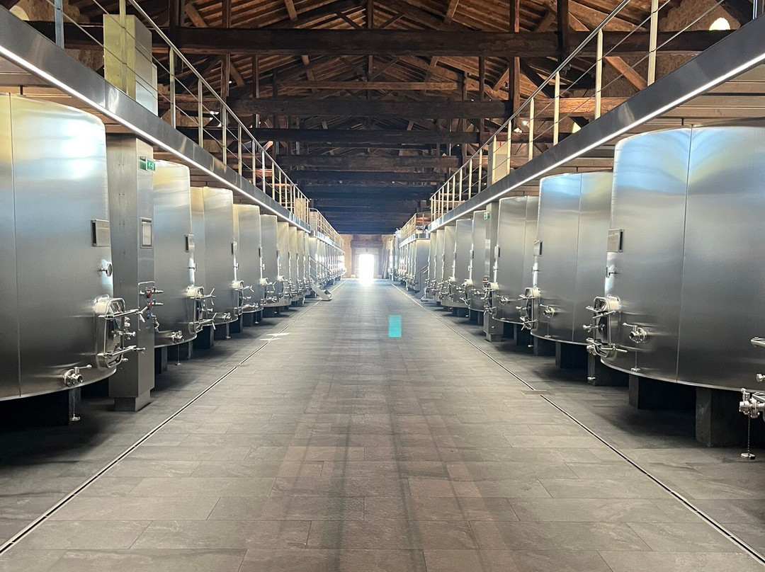 Chateau de La Chaize-Odenas必去景点