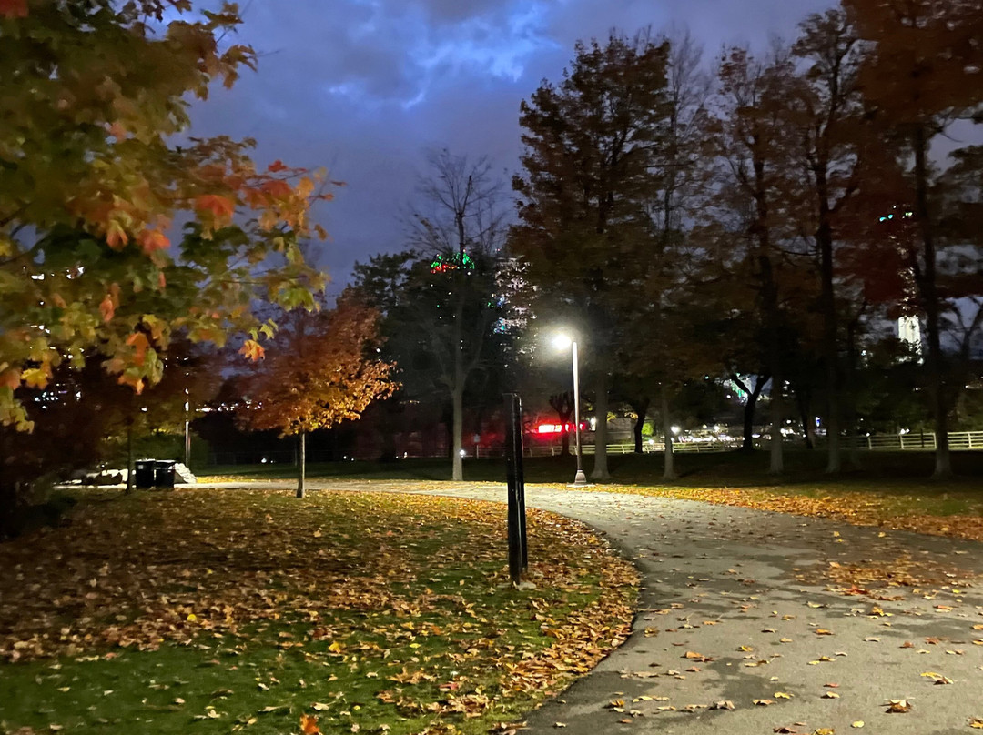 Tours4Fun-洛杉矶必去景点