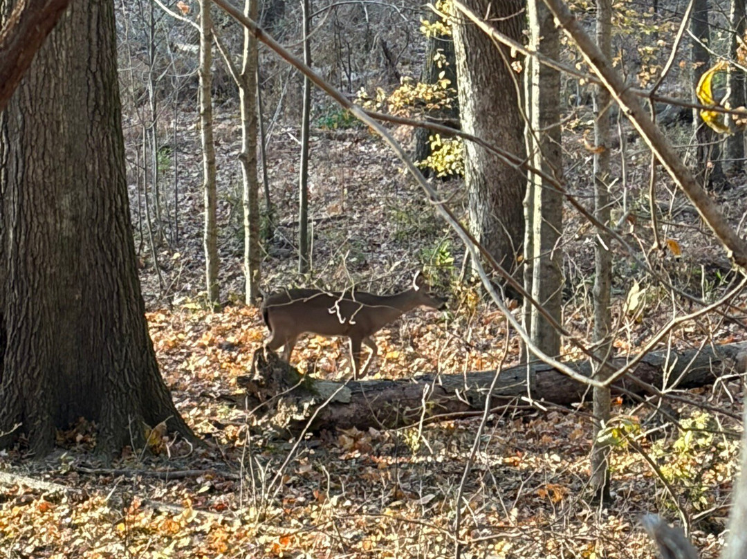 Radnor Lake State Park-纳什维尔必去景点