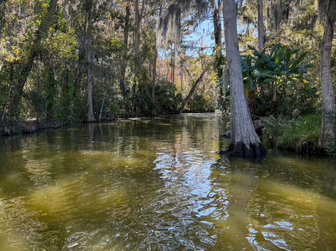Mount Dora Boating Center & Marina-Mount Dora必去景点