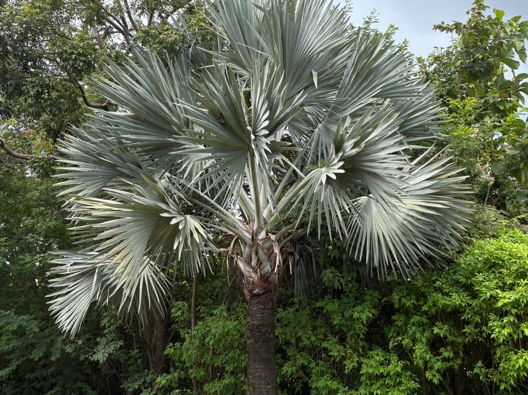 Costa Rica EZ Travel Adventures-Playa Flamingo必去景点