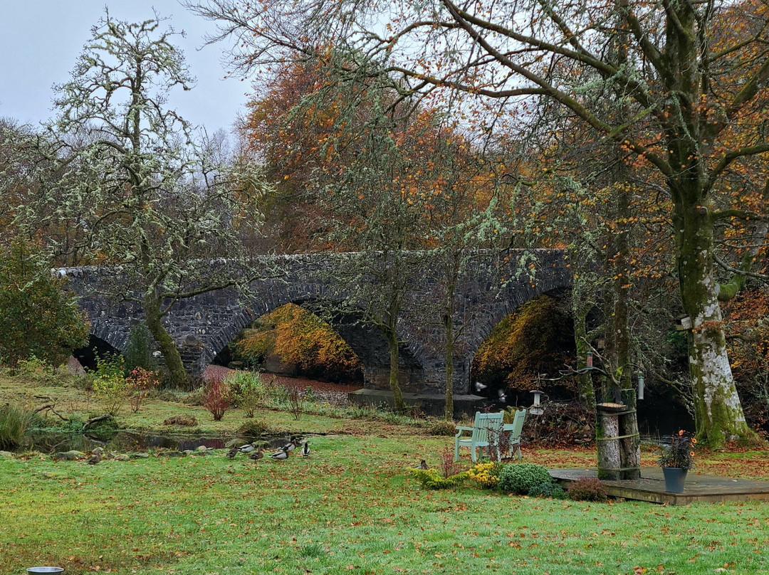 Orchy Bank Guest House主图