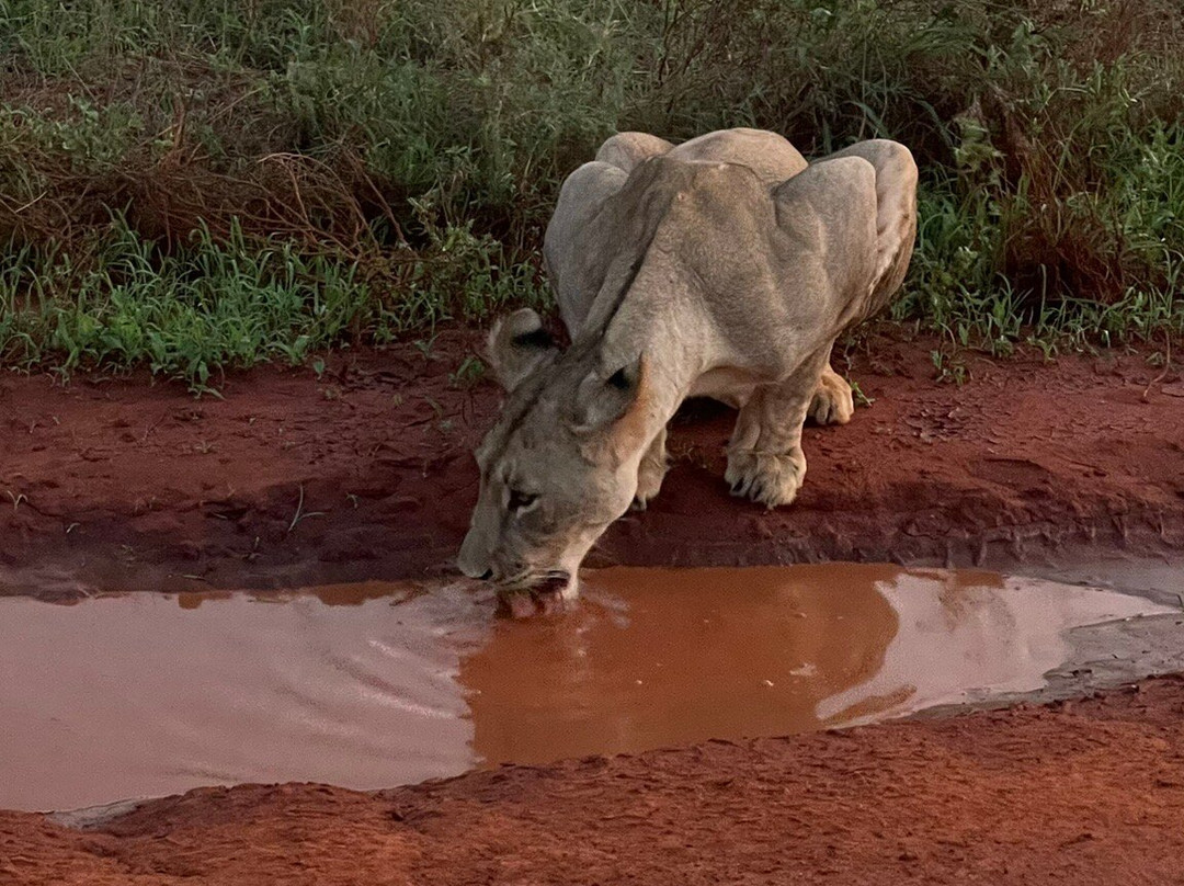 Malik Safari-马林地必去景点