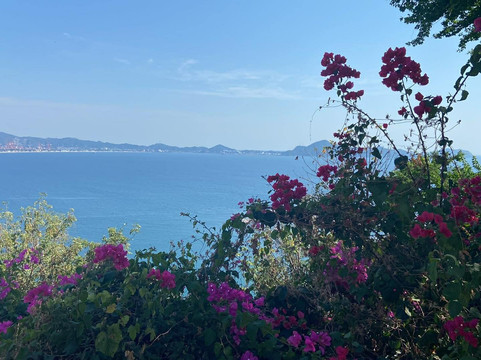 Tlaloc Tours-曼萨尼约必去景点