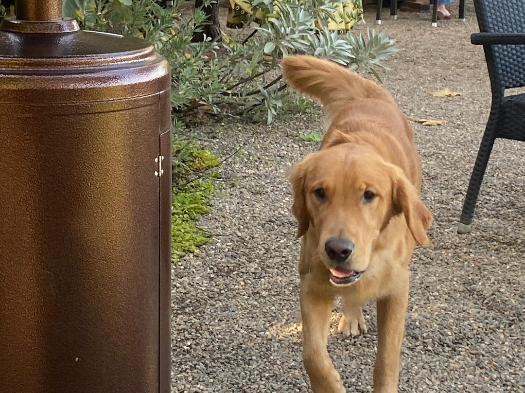 Tres Sabores Winery-圣海伦娜必去景点