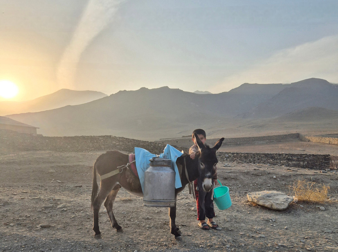 Nurata Tours-Nurata必去景点