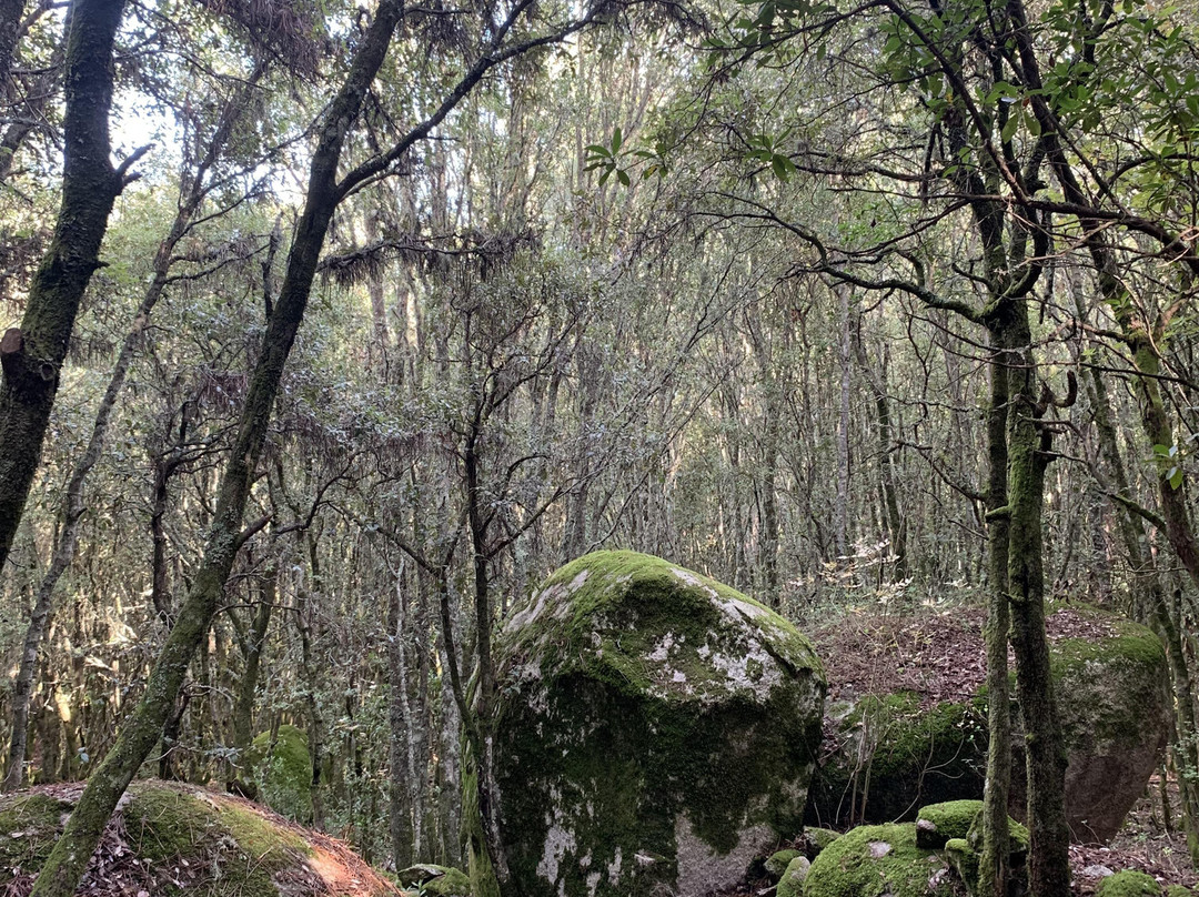 Site archéologique de Cucuruzzu-Levie必去景点