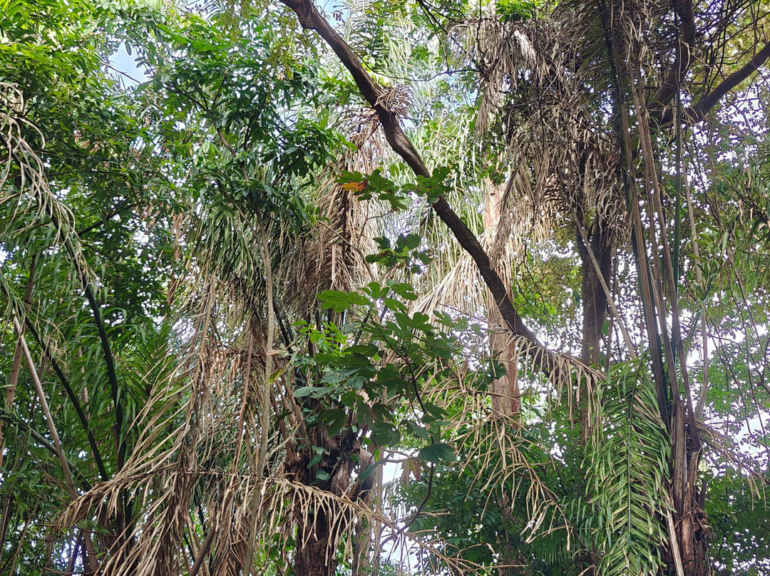 Limeland Tours-特立尼达必去景点