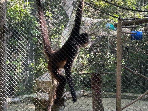 Tulum Adventure-图伦必去景点