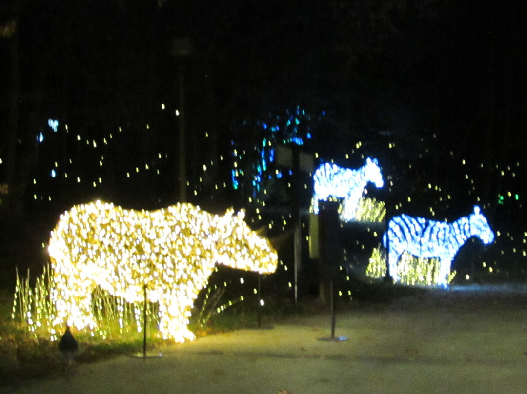 Milwaukee County Zoo-密尔沃基必去景点