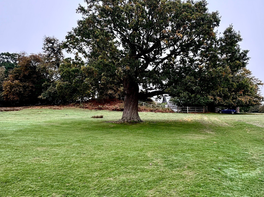 Knole - National Trust-Sevenoaks必去景点