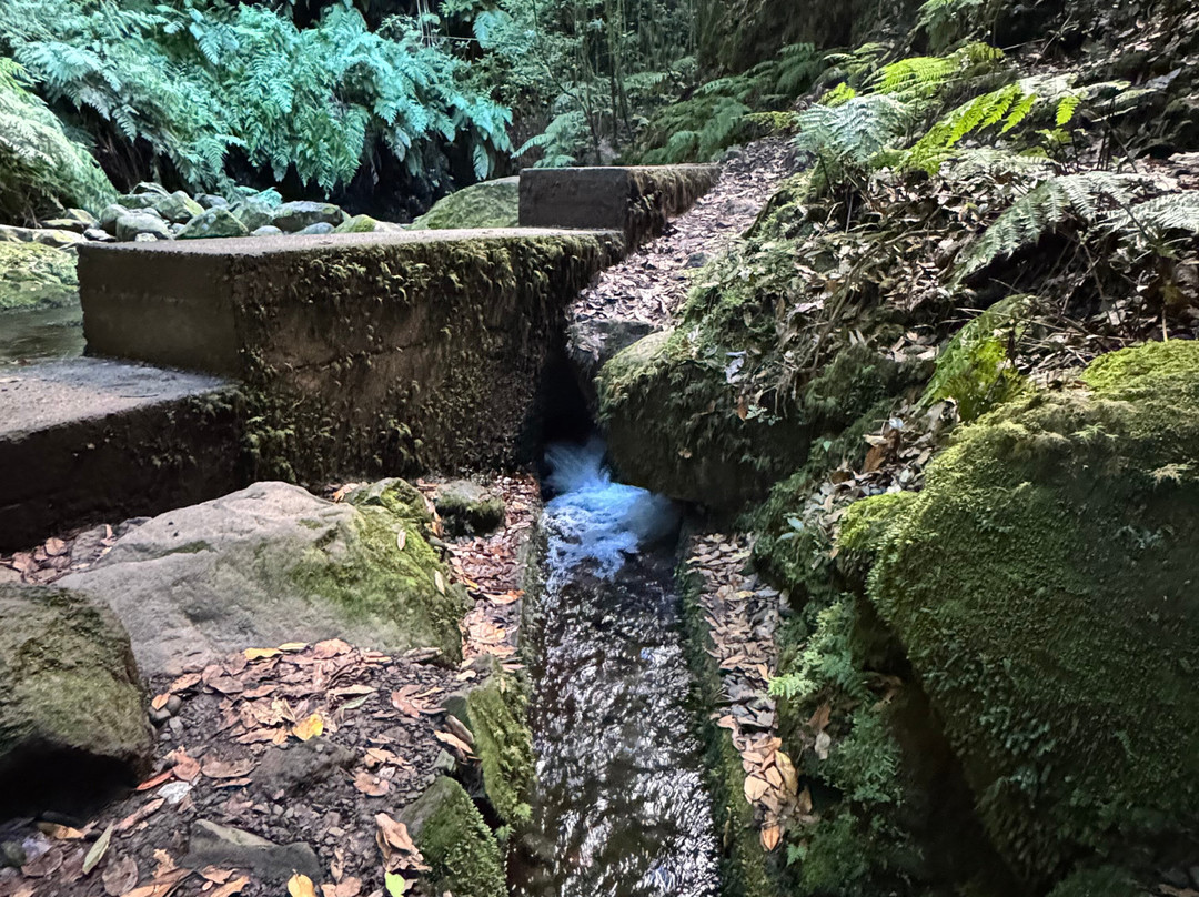 Levada Do Reí-Sao Jorge必去景点